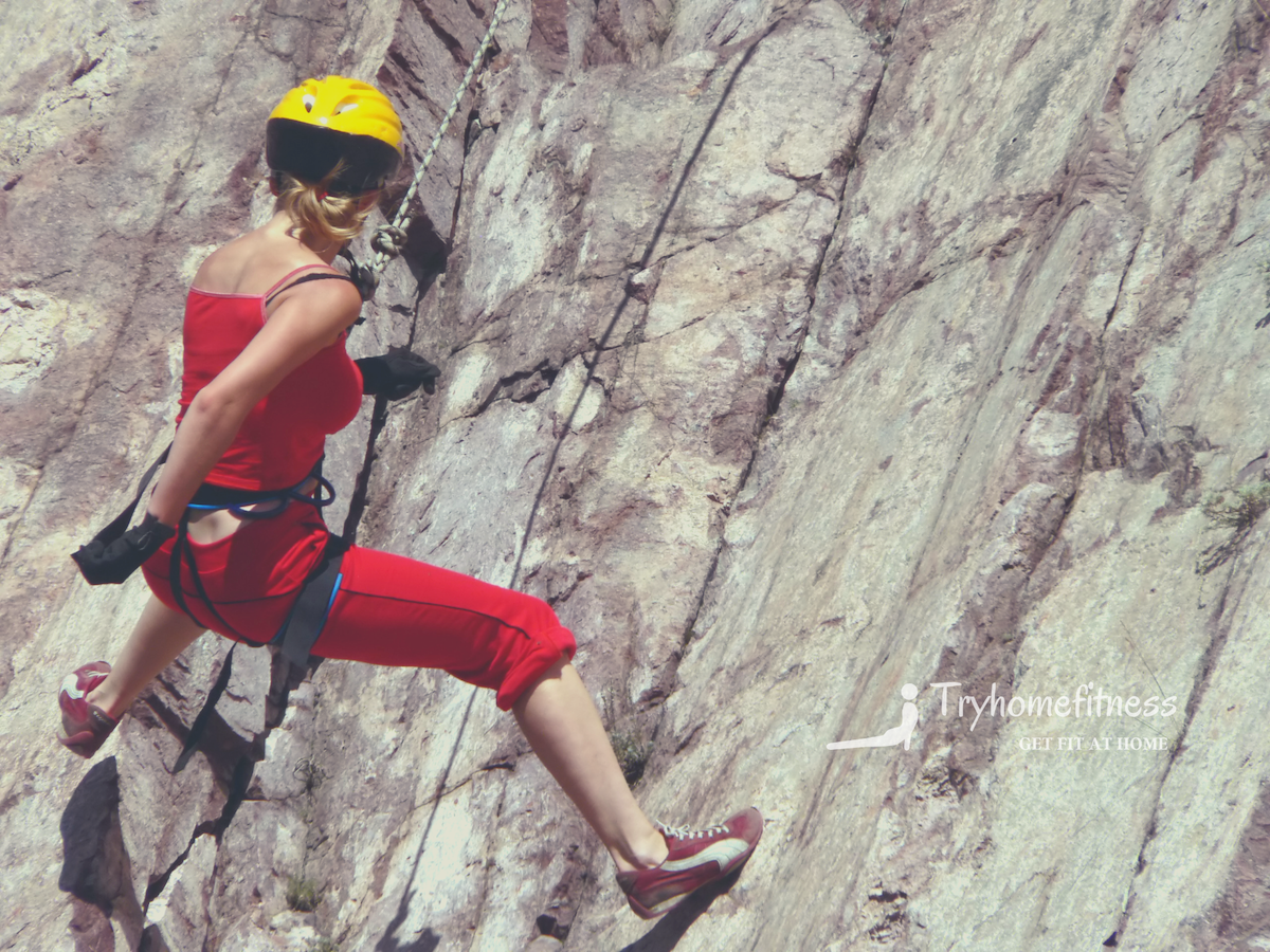 Choosing The Best Vertical Climber Reviews & Guide