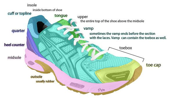 the anatomy of the best shoe for treadmill