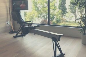 Aviron rower in home with scenic window views